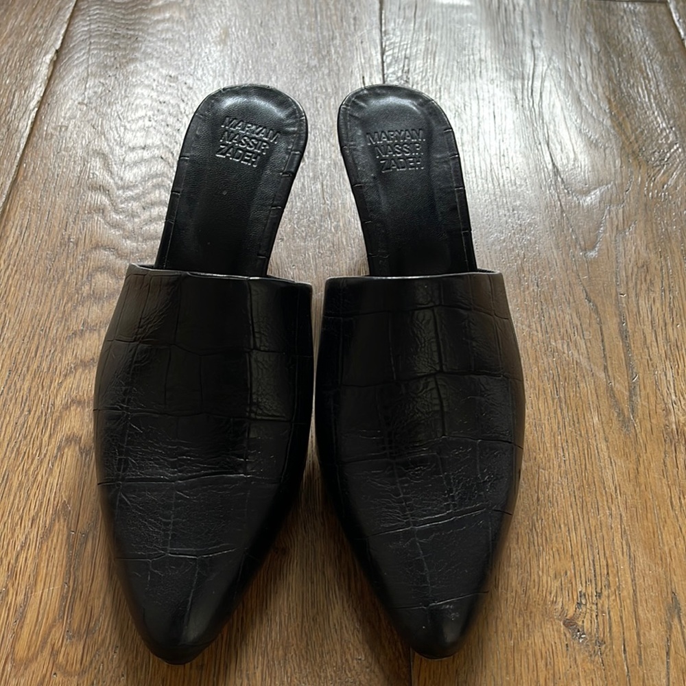 Maryam Nassir Zadeh Mule